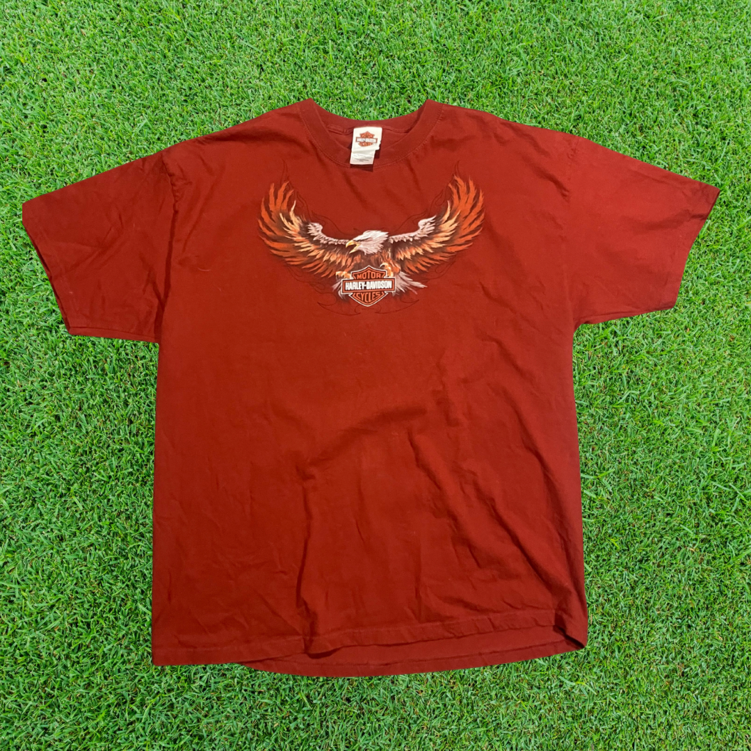 Harley Davidson Eagle Flames Tee – 2008